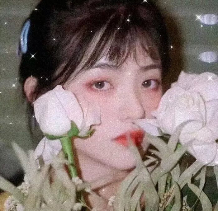 傅满洲的新娘